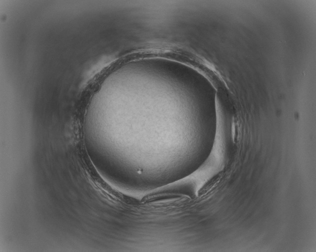 X0000065971448200603101345