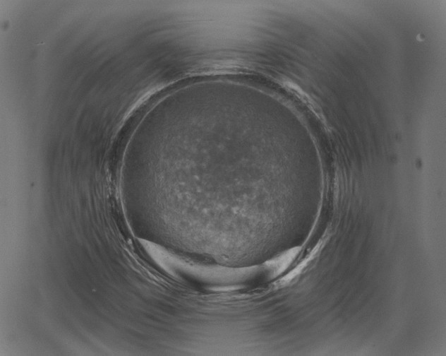 X0000065971449200603101345