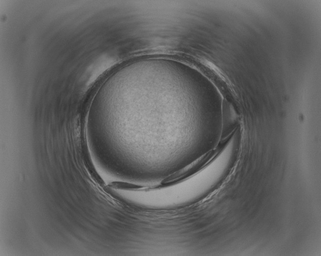 X0000065971450200603101345