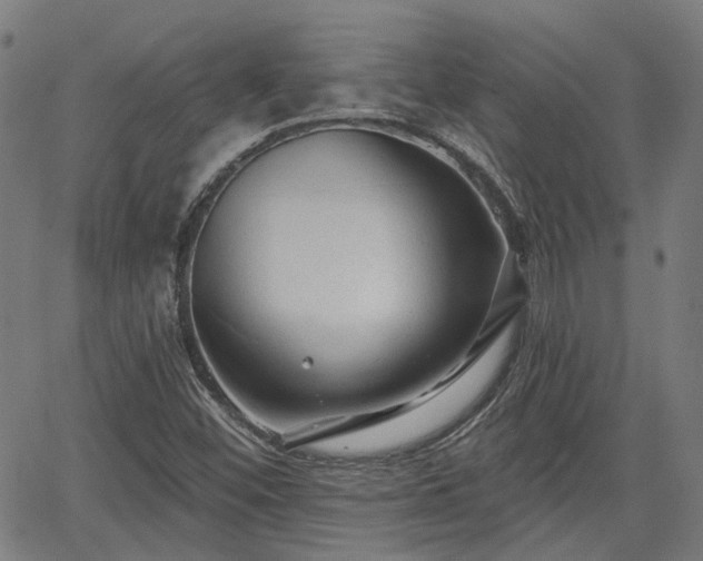 X0000065971452200603101345