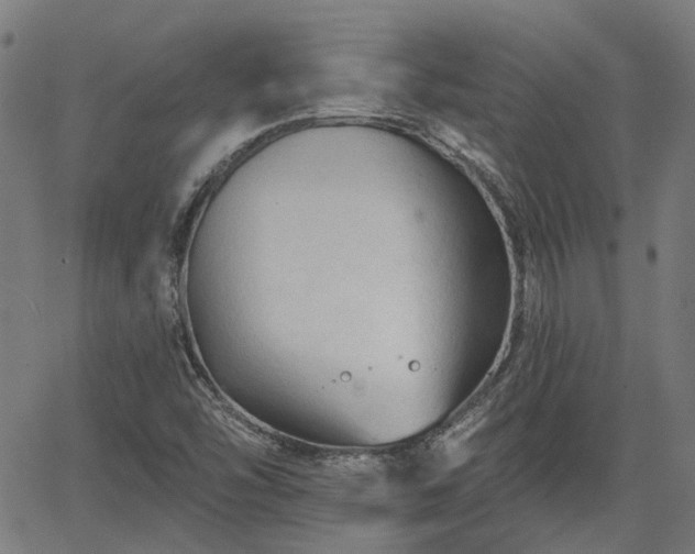 X0000065971454200603101345