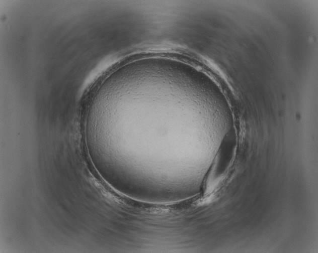 X0000065971456200603101345