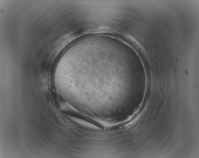 X0000065971457200603101345