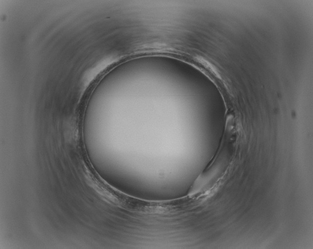 X0000065971458200603101345