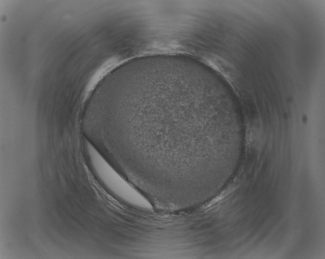 X0000065971459200603101345