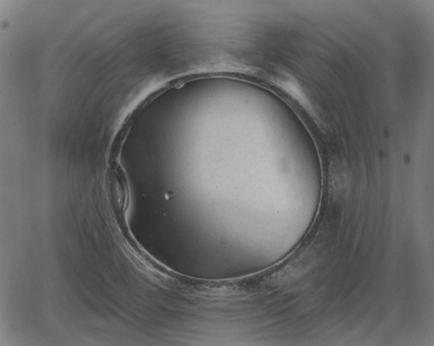 X0000065971460200603101345