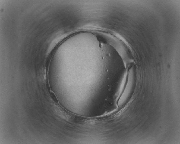 X0000065971461200603101345