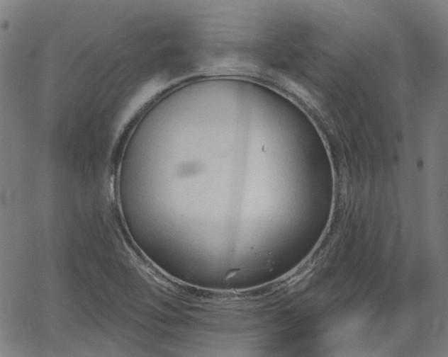 X0000065971462200603101345