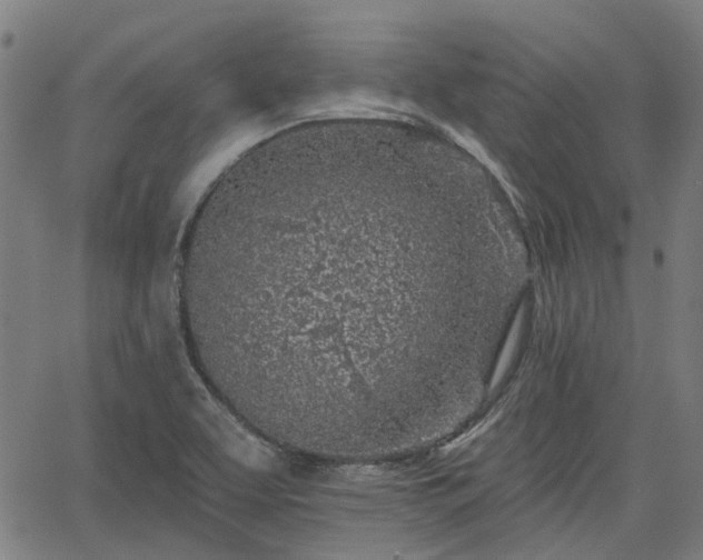 X0000065971463200603101345