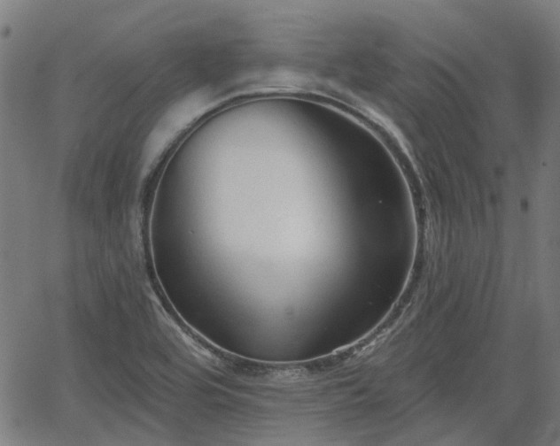 X0000065971464200603101345