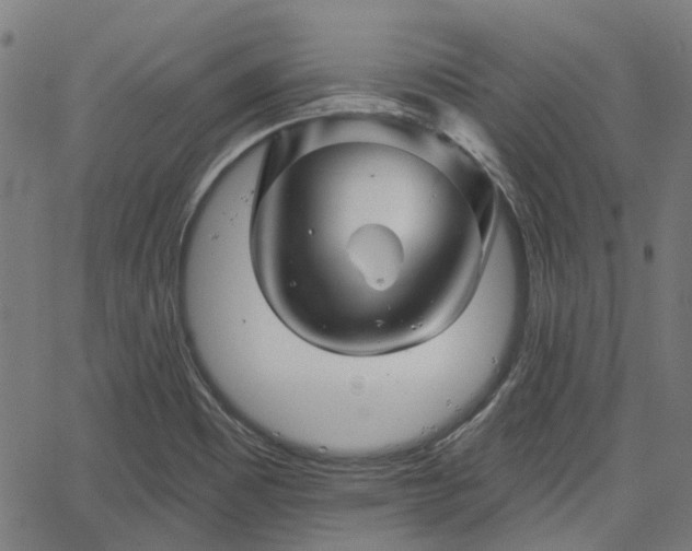 X0000065971465200603101345