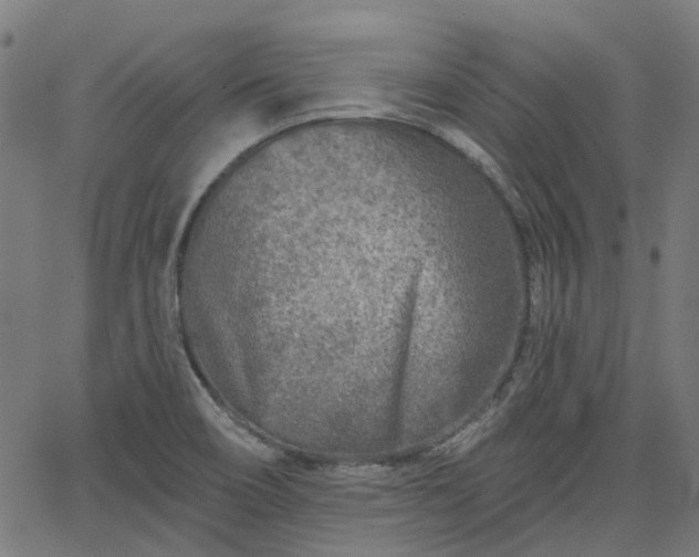 X0000065971466200603101345