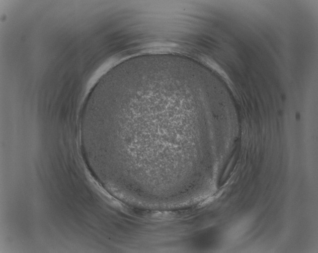 X0000065971467200603101345