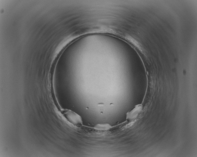 X0000065971468200603101345