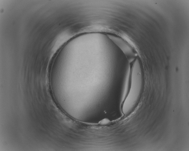 X0000065971469200603101345