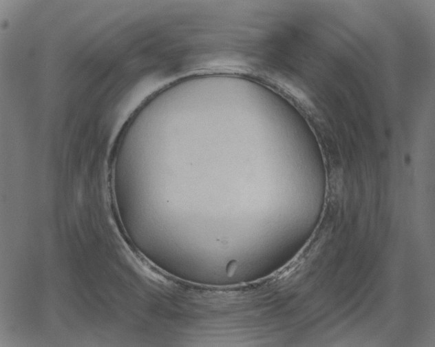 X0000065971470200603101345