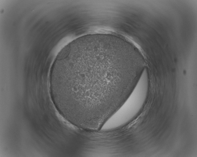 X0000065971471200603101345