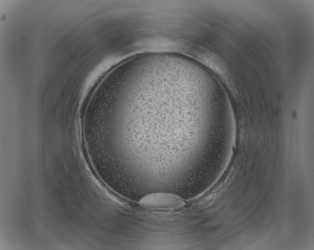 X0000065971472200603101345