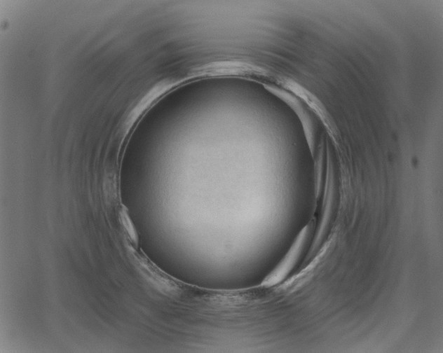 X0000065971473200603101345