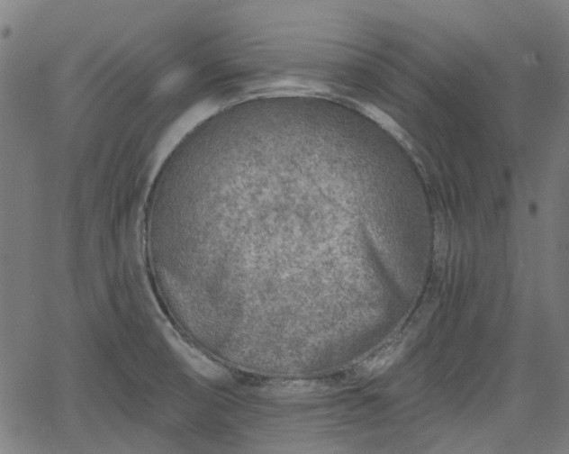 X0000065971474200603101345