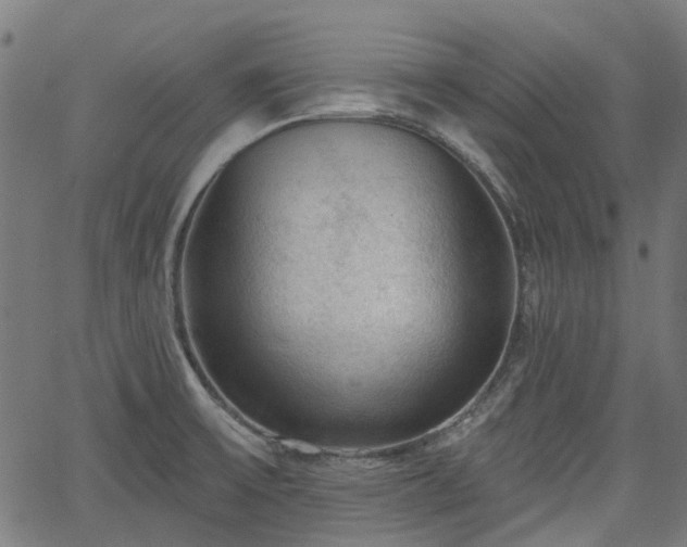 X0000065971475200603101345