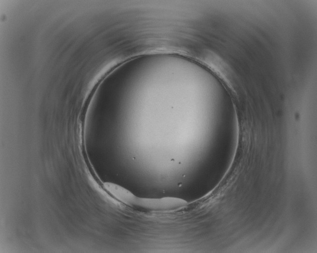 X0000065971476200603101345