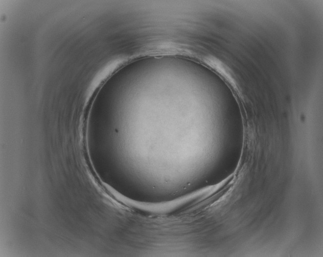 X0000065971477200603101345