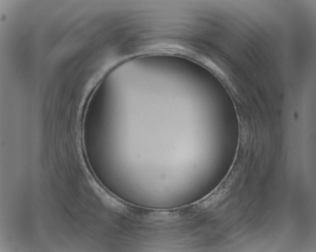 X0000065971478200603101345