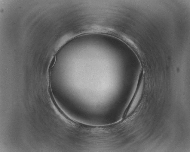 X0000065971479200603101345