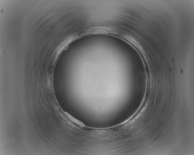 X0000065971481200603101345