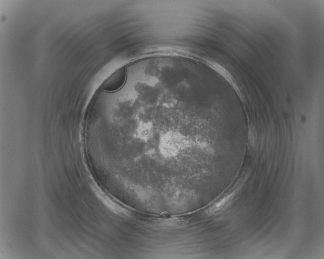 X0000065971482200603101345