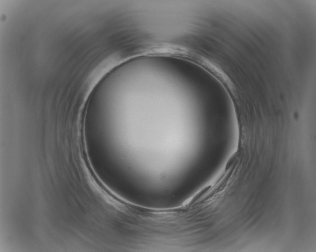 X0000065971483200603101345