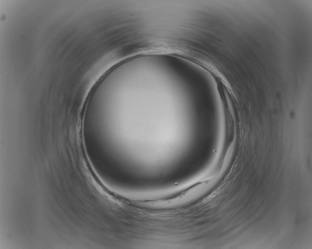 X0000065971484200603101345