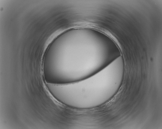 X0000065971485200603101345