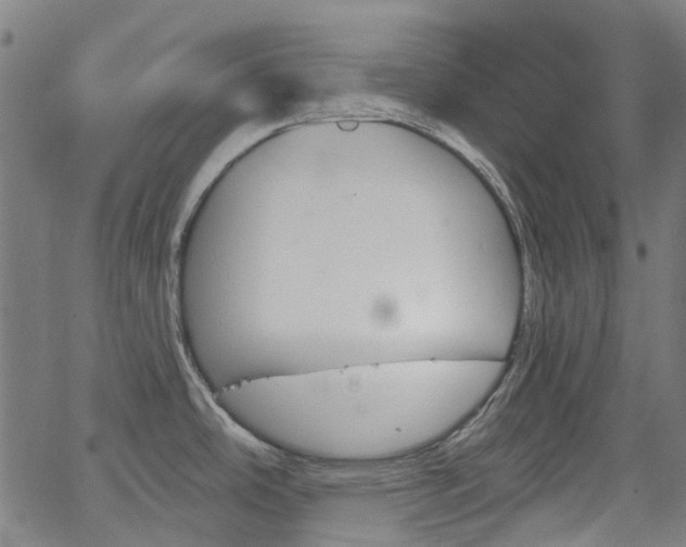 X0000065971486200603101345