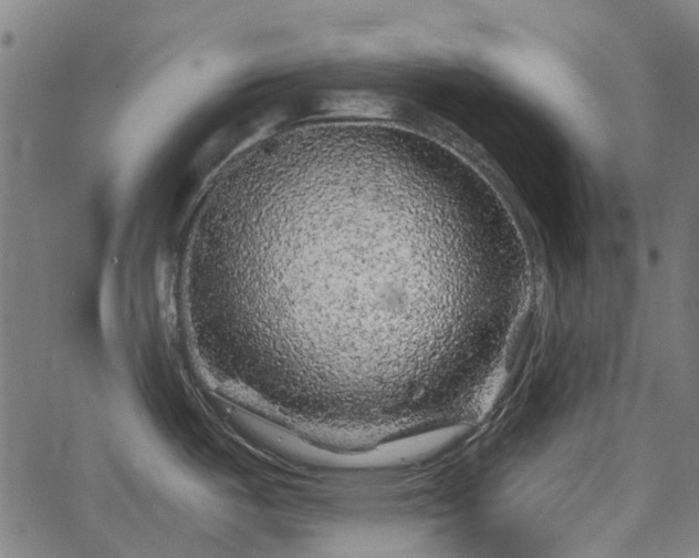 X0000065971487200603101345