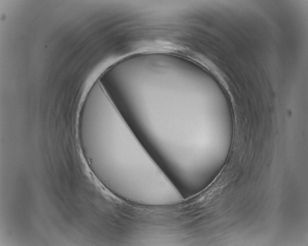 X0000065971488200603101345