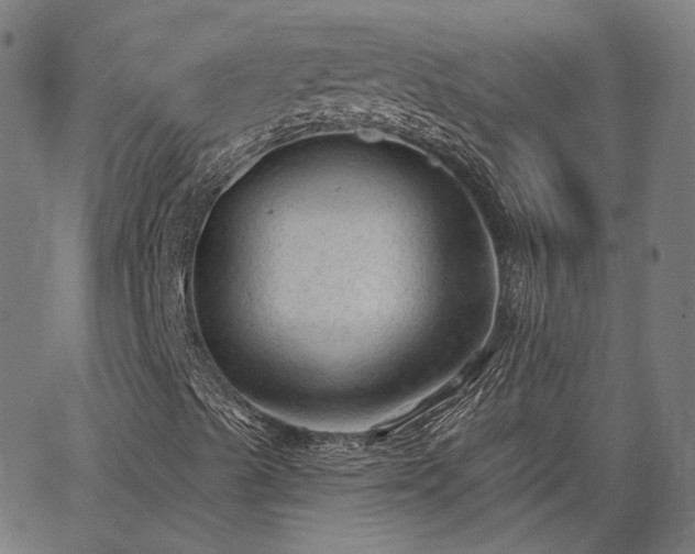 X0000065971489200603101344