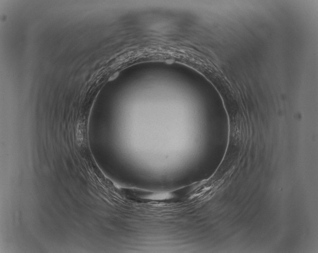 X0000065971490200603101344