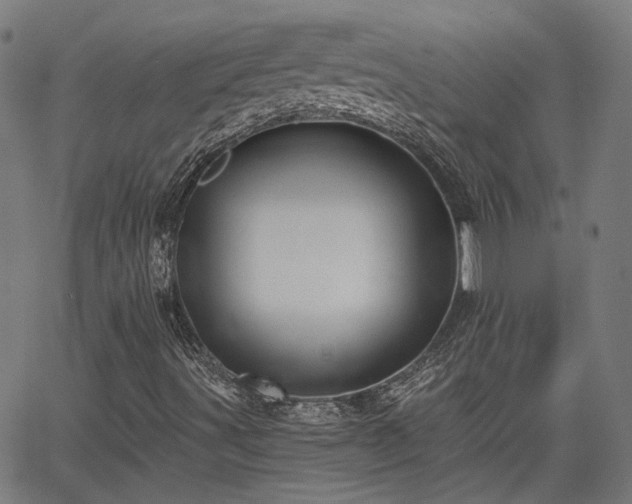 X0000065971491200603101344