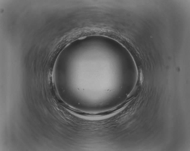 X0000065971492200603101344