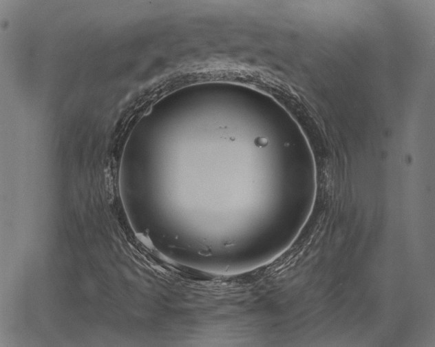 X0000065971493200603101344