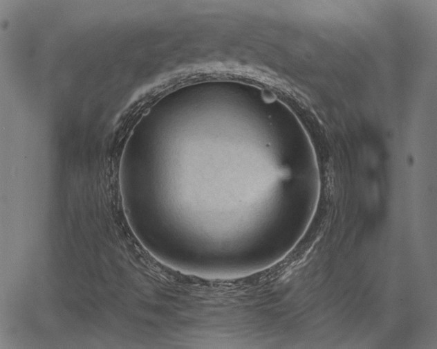 X0000065971494200603101344