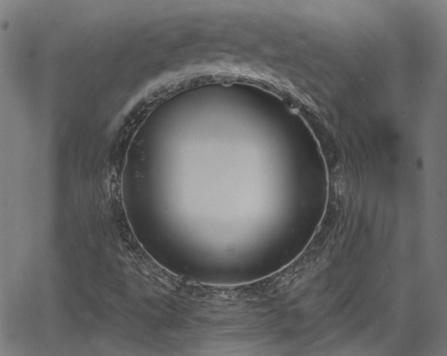 X0000065971495200603101344