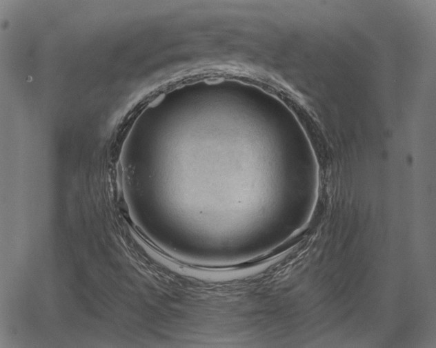 X0000065971496200603101344