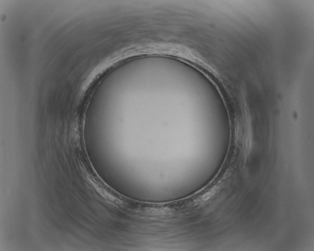 X0000065971498200603101344