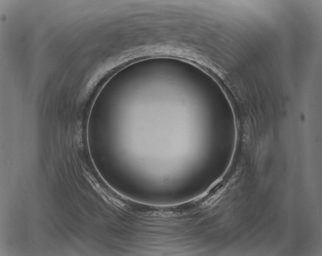 X0000065971499200603101344