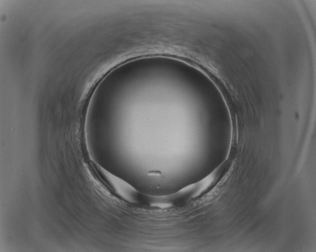 X0000065971500200603101344