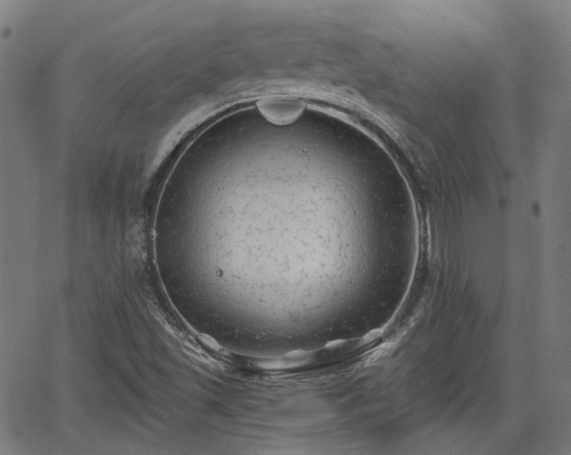 X0000065971501200603101344