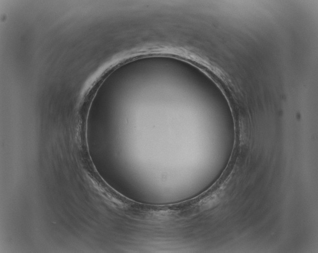 X0000065971502200603101344